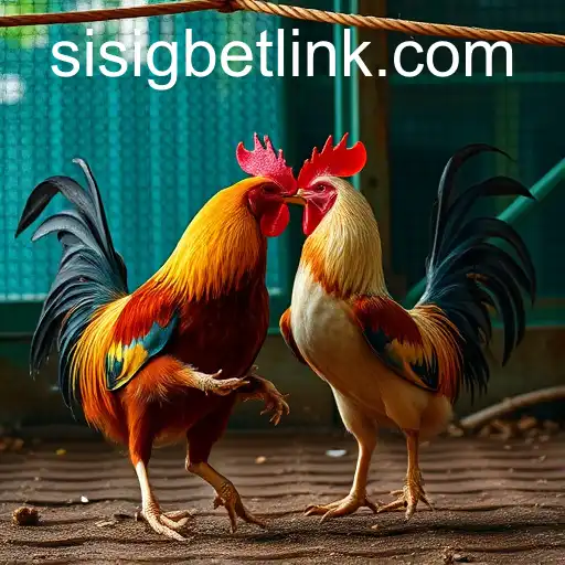 Exploring the World of Online Sabong and Sisigbet.COM